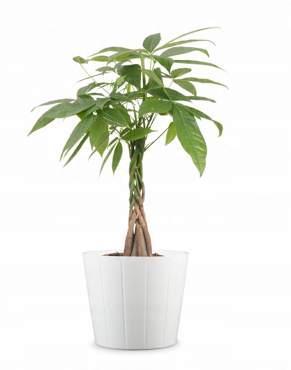 

Biała osłonka w paski śr. 24,5 cm Scheurich donica
