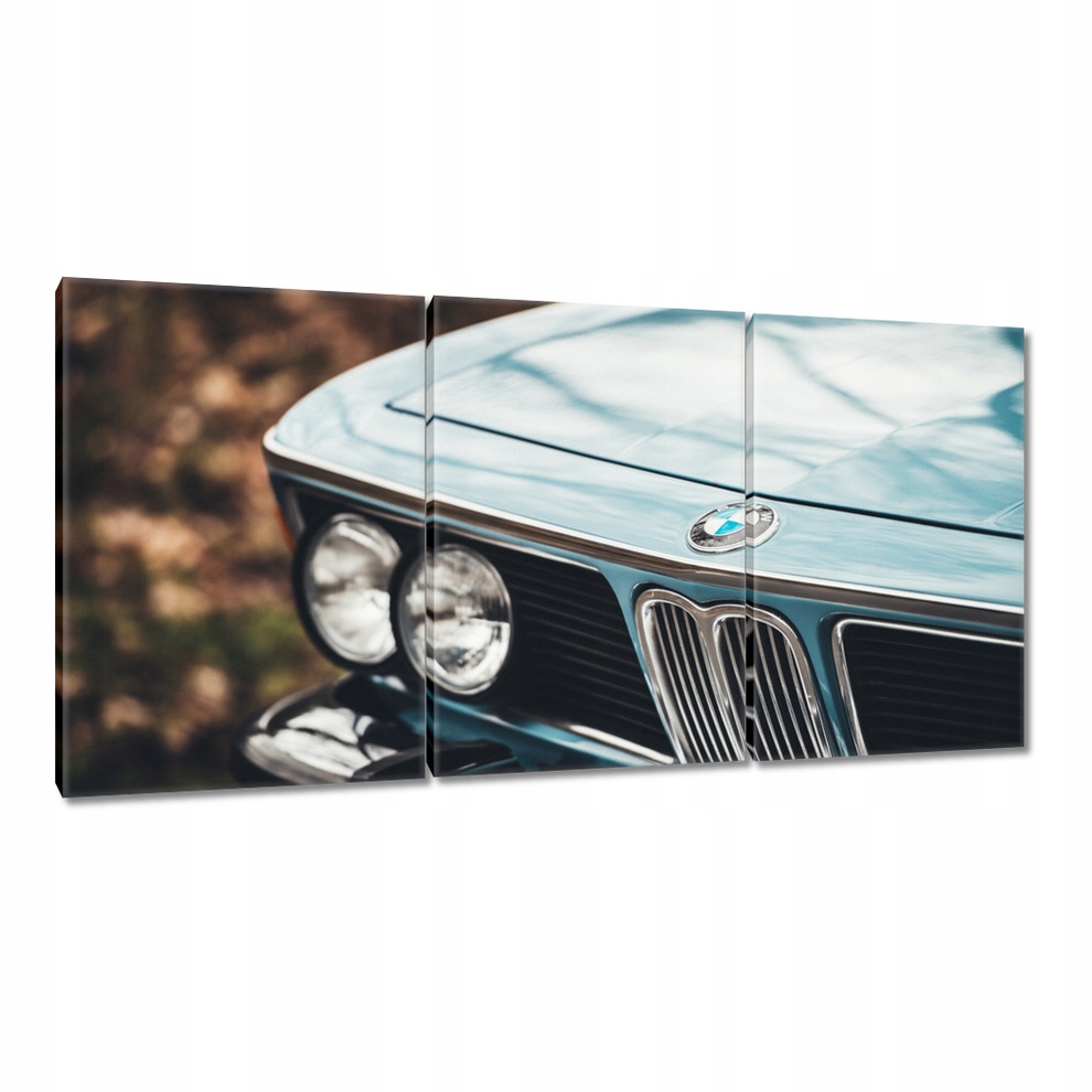 

Obrazy 120x60 Bmw Rekin Buma Klasyk