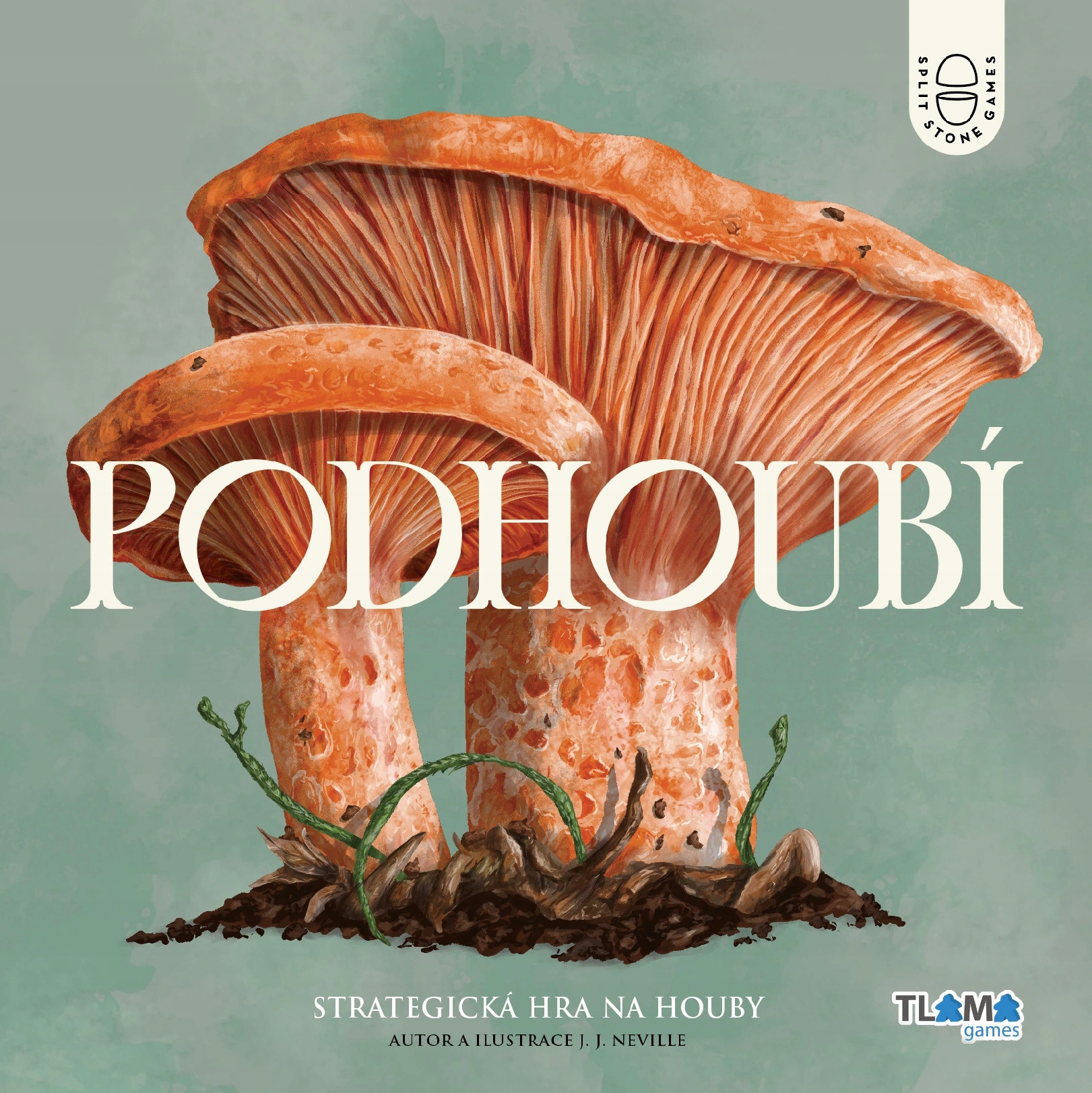 Desková hra Podhoubí