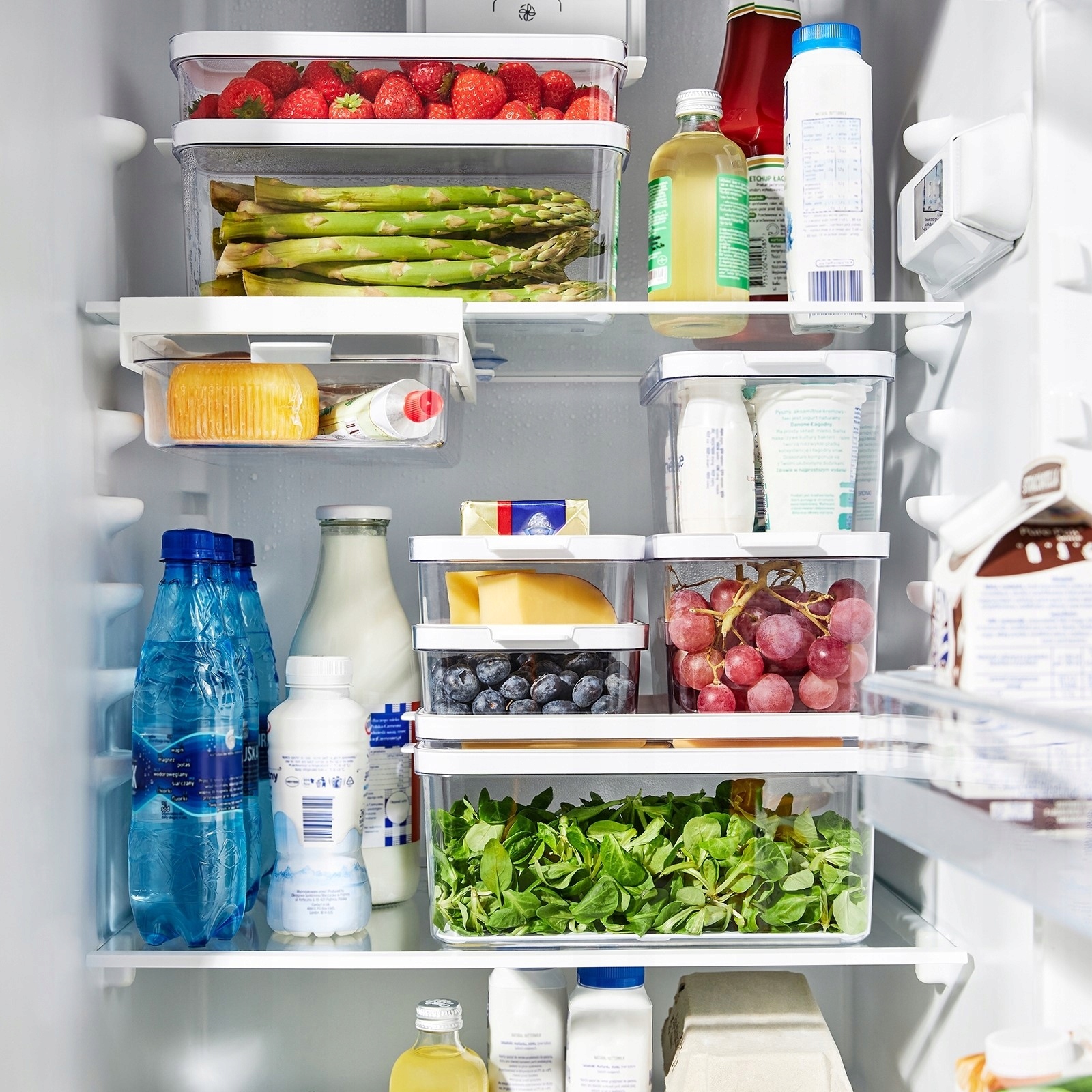 Organizer Pojemnik na żywność przezroczysty do lodówki Rotho Cauma 4,65 l Linia CAUMA