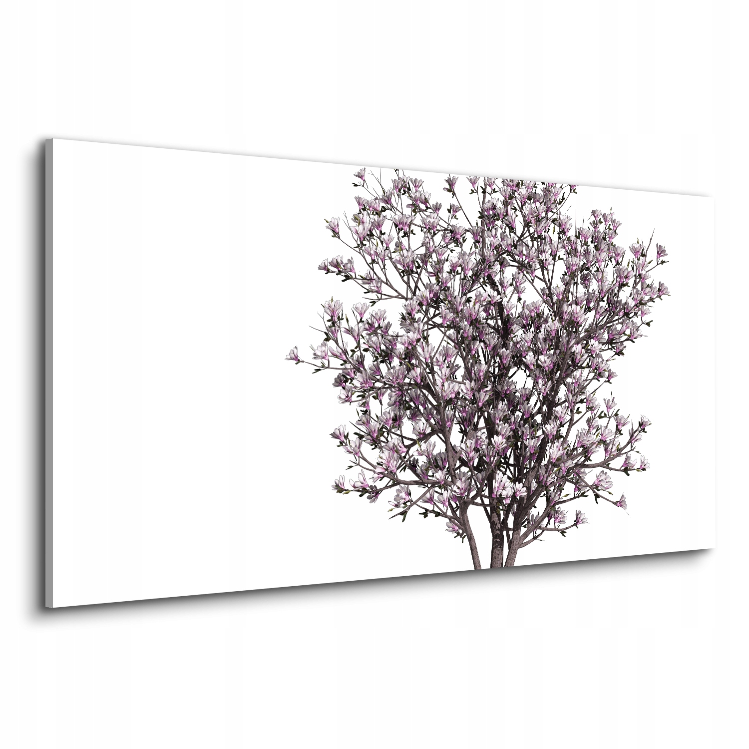 Kancelářské plátno 120x60 Magnolie keř květ