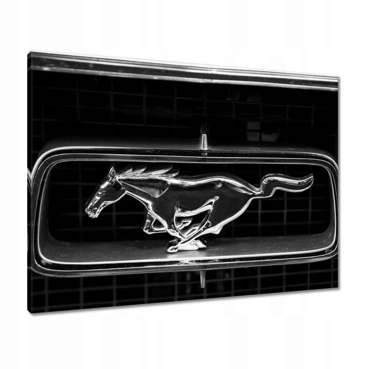 Obrazy 80x60 Ford Mustang – znak