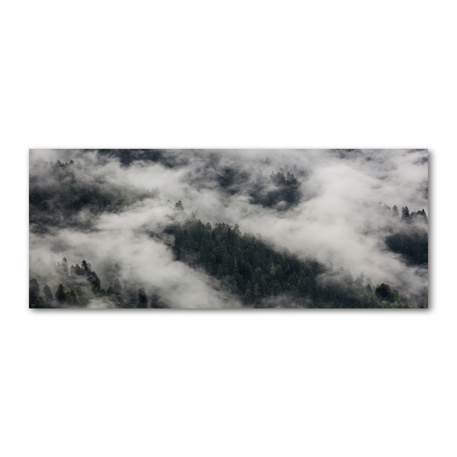 

Foto obraz akryl zdjęcie Mgła nad lasem 125x50 cm