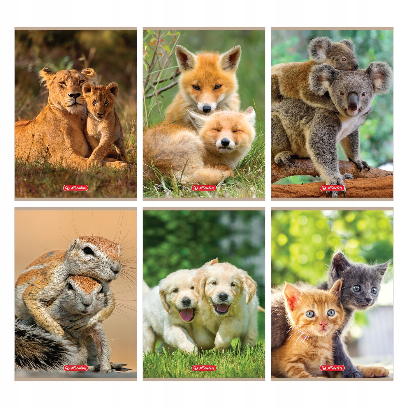 

Zeszyt Herlitz A5/32k kratka Animals (9583063)