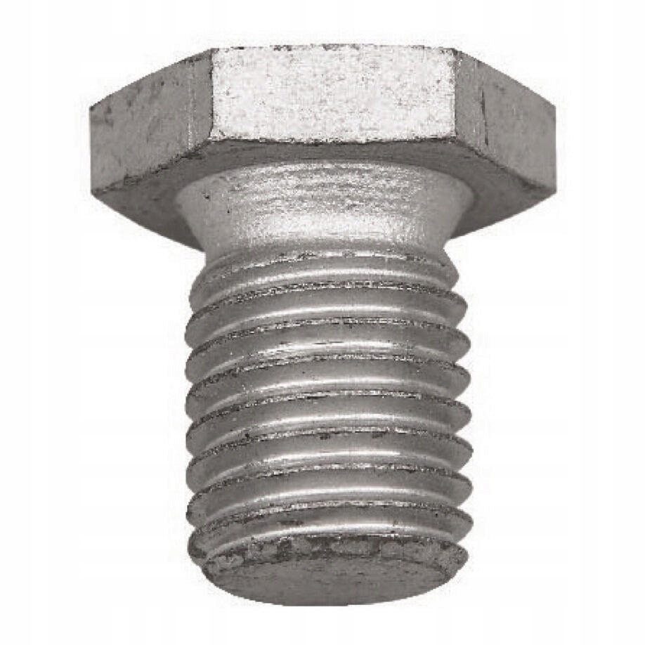 Пробка для зливу масла VAICO V20-1379