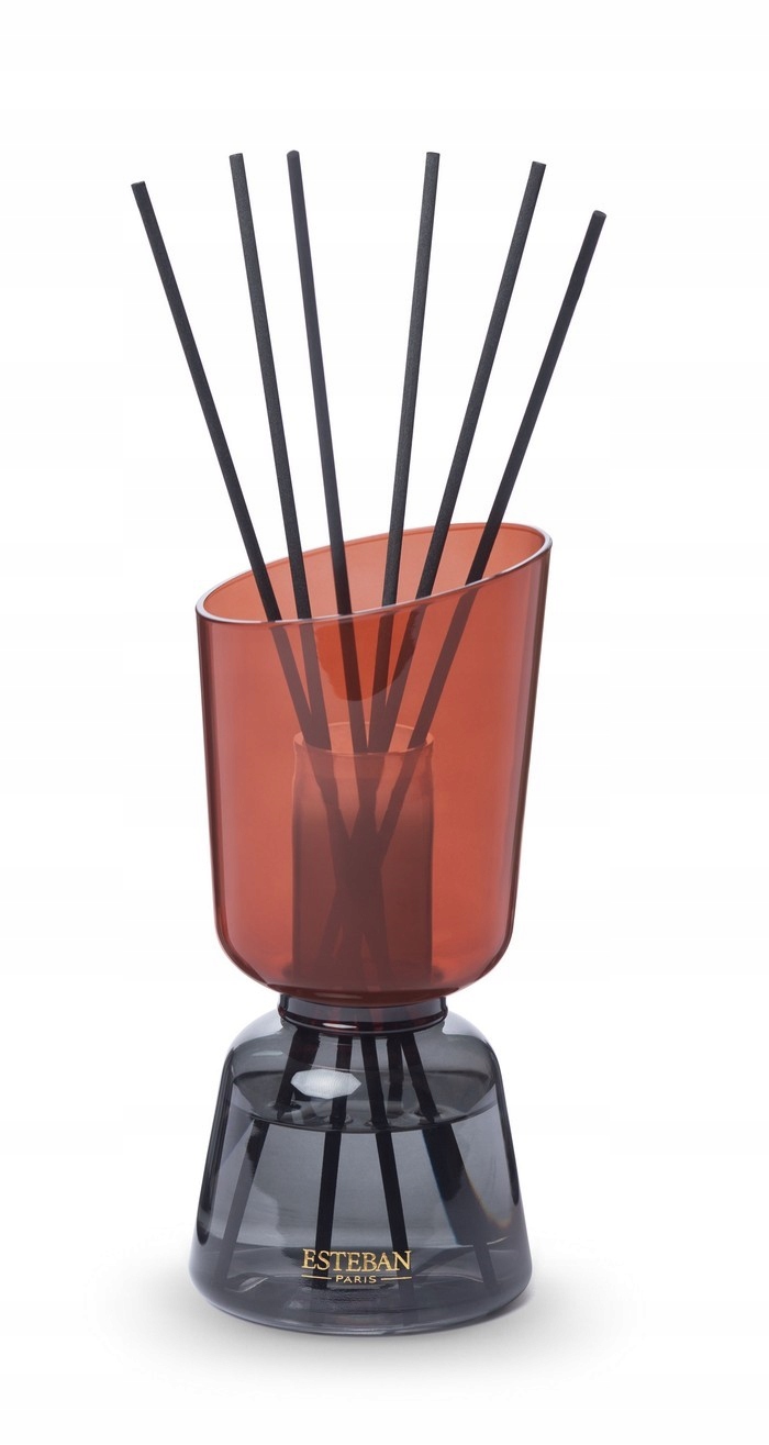 Esteban Iconic Skleněný Difuzér s tyčinkami 250 ml Iris Cachemire