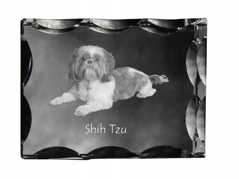 Shih Tzu fotografia psa v ozdobnom kryštáli, suvenír, dekorácia domu