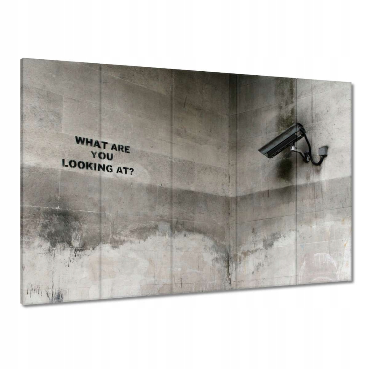 Obrazy 225x160 Banksy Kamera Graffiti
