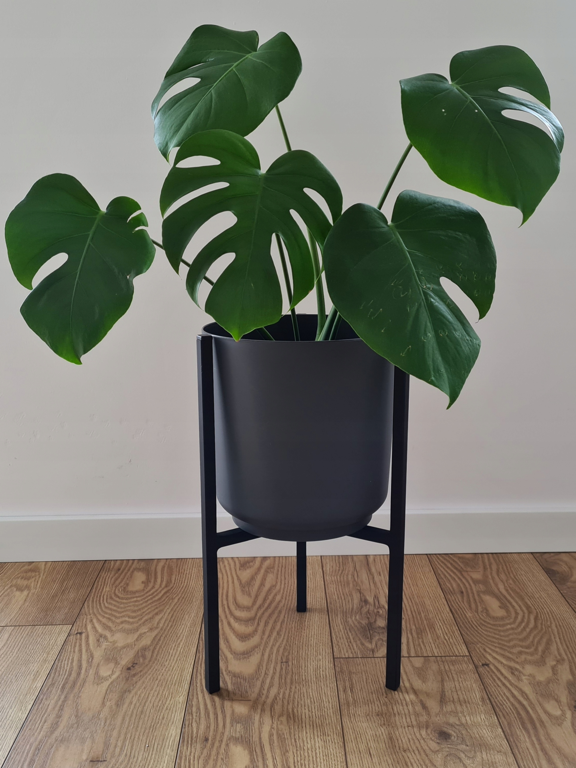 KWIETNIK STOJAK NA ROŚLINY Z OSŁONKĄ DONICĄ DWUSTRONNY KWIATY CZARNY LOFT Kod producenta KWIETNIK STOJAK NA ROŚLINY Z OSŁONKĄ