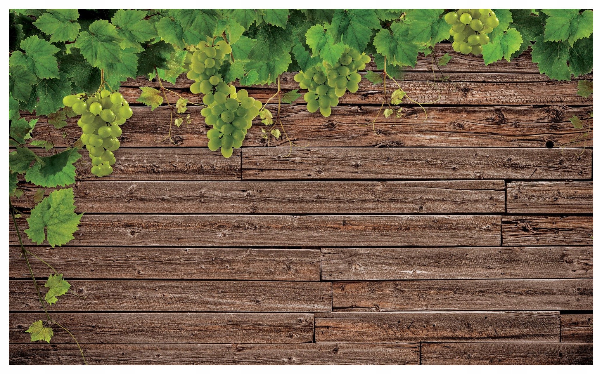 Fototapeta Hroznové Víno na dřevěné stěně zeleň vinylová 416x254 lepidlo