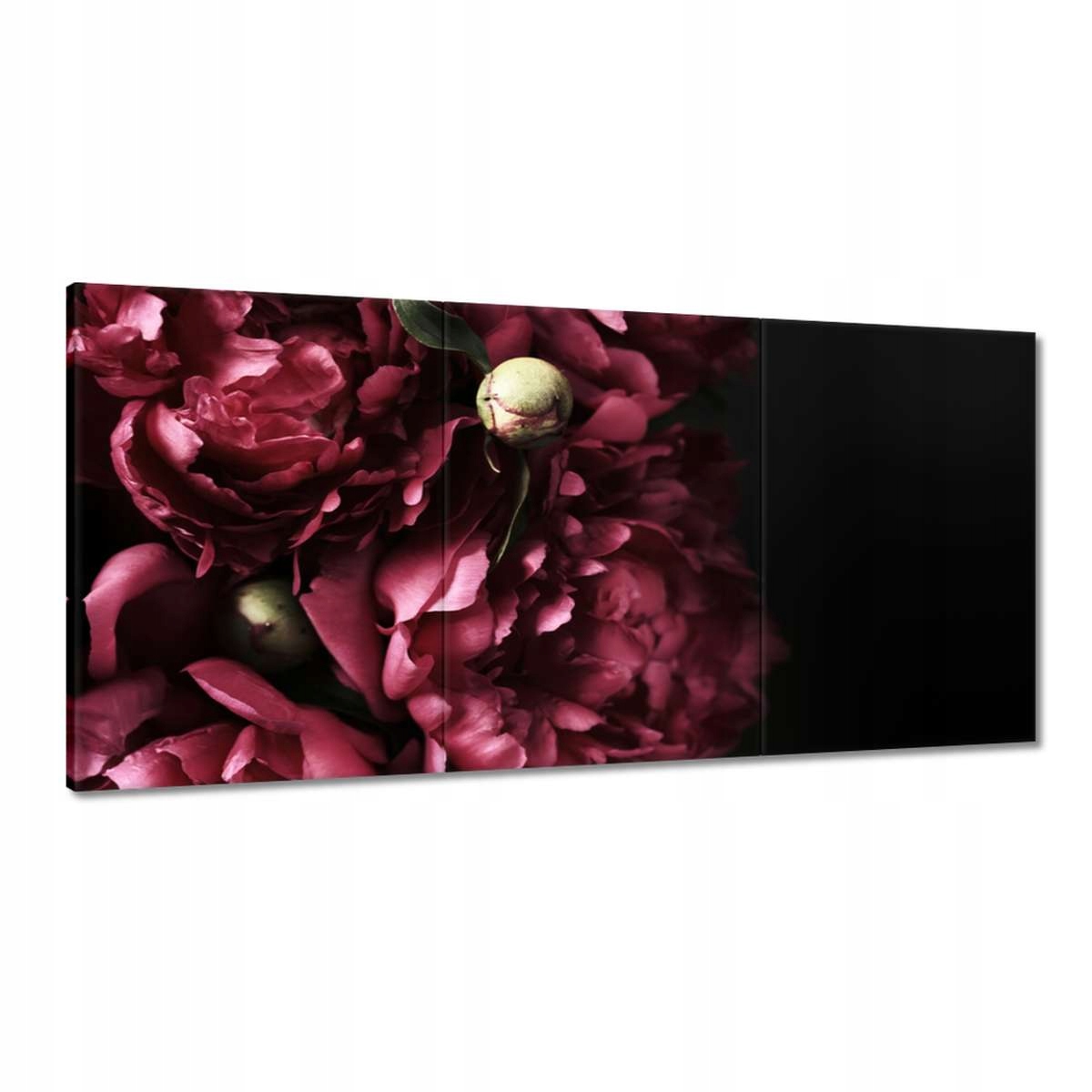 Obrazy 180x90 Krásne fialové pivonky