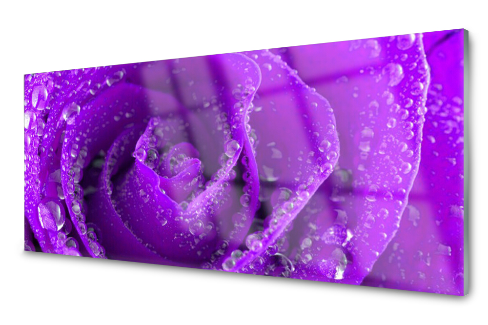 

Panel szklany do kuchni Róża Kwiat 125x50