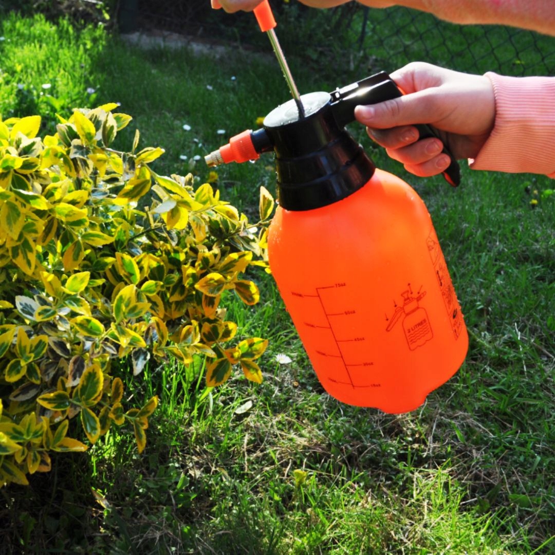 OPRYSKIWACZ CIŚNIENIOWY 2L SPRYSKIWACZ RĘCZNY EAN (GTIN) 5904158837080