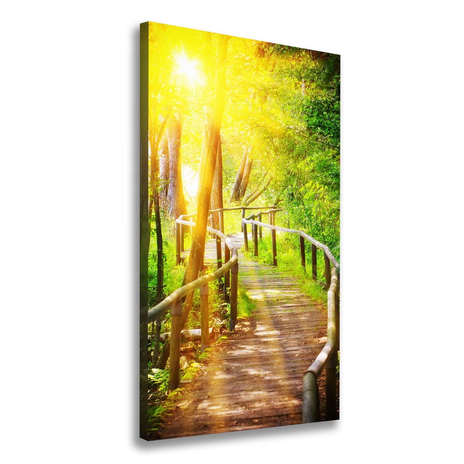 

Foto obraz na płótnie Ścieżka w lesie 60x120 cm