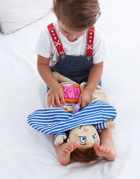 ZABAWKA PLUSZOWA NARZĄDY ANATOMIA ZABAWKI DLA DZIECI MIĘKKA LALKA Seria RE-545