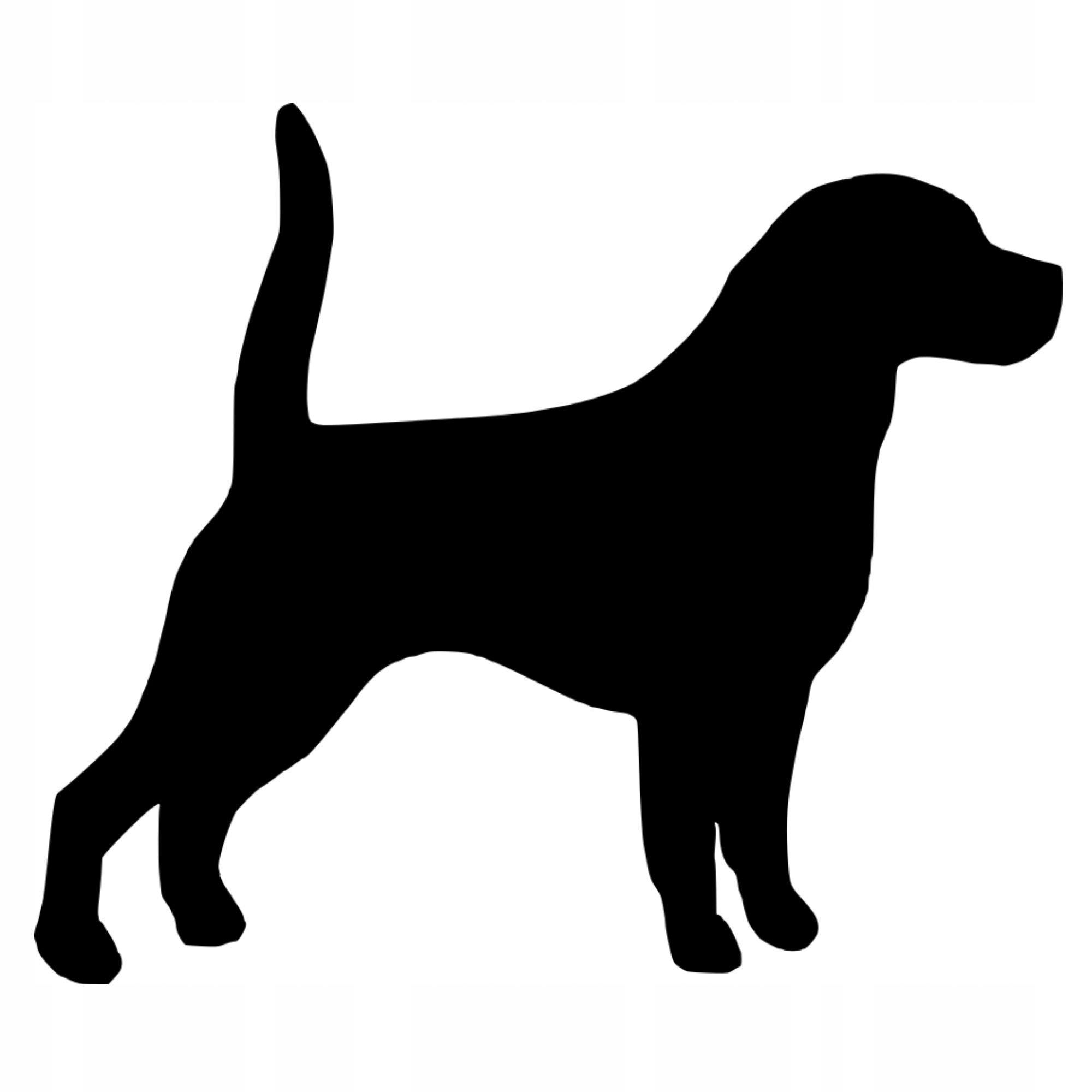 

Naklejka na samochód Beagle Pies Piesek Pupil