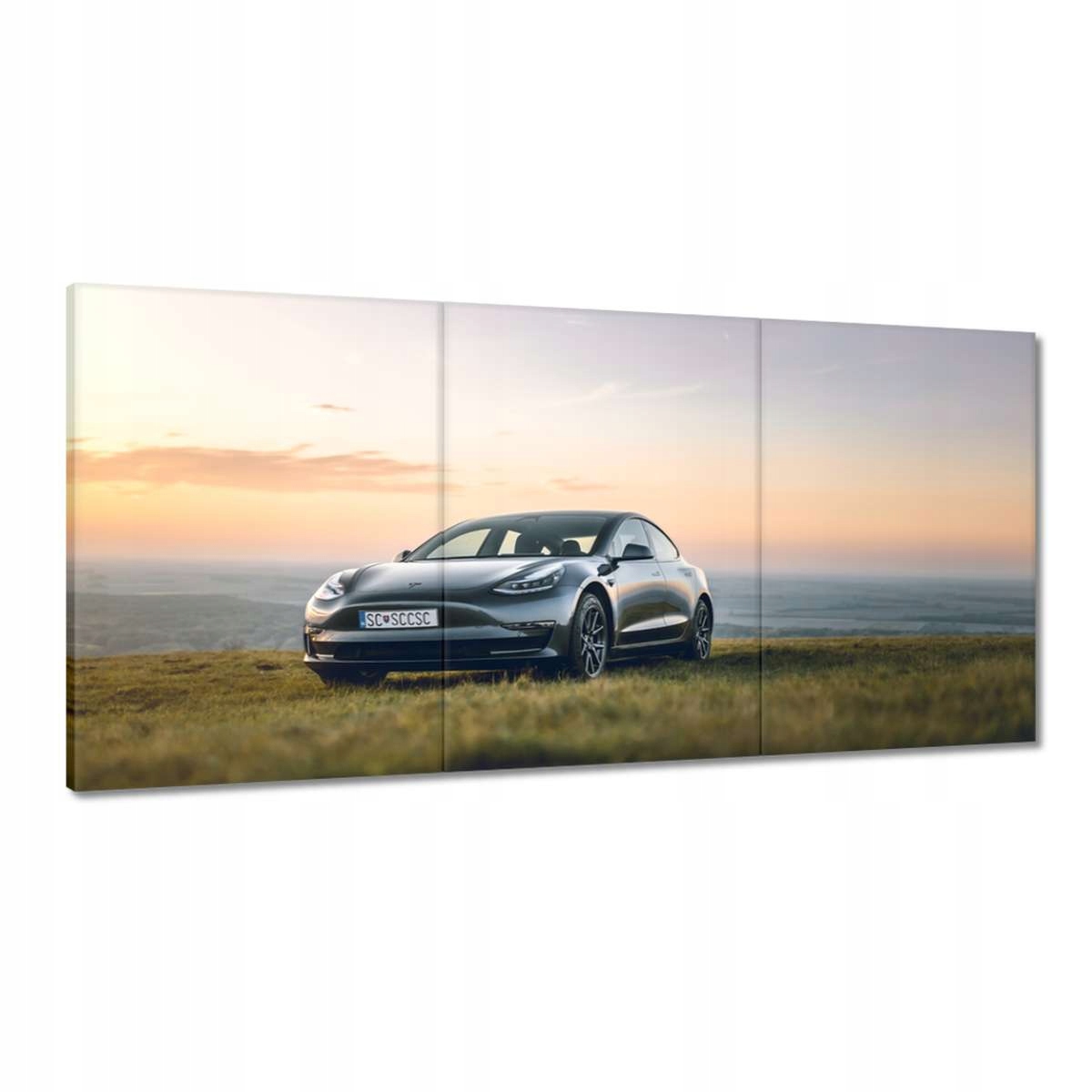 Obrazy 120x60 Automobilový průmysl Auta