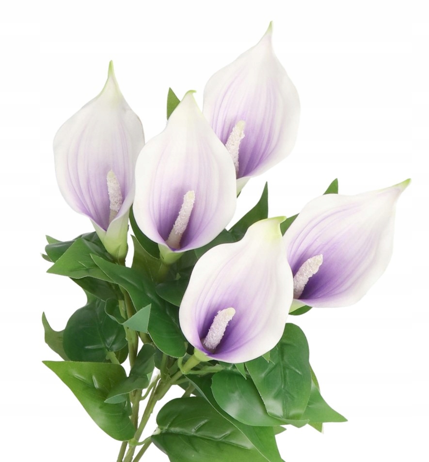 

Bukiet Bukiecik Gęsty Gałązki Sztuczne Kwiaty Kala