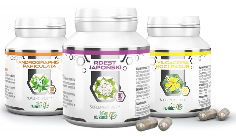 B&m botamed protokół Buhnera Buhner zestaw 3 x 90 kaps. Borelioza