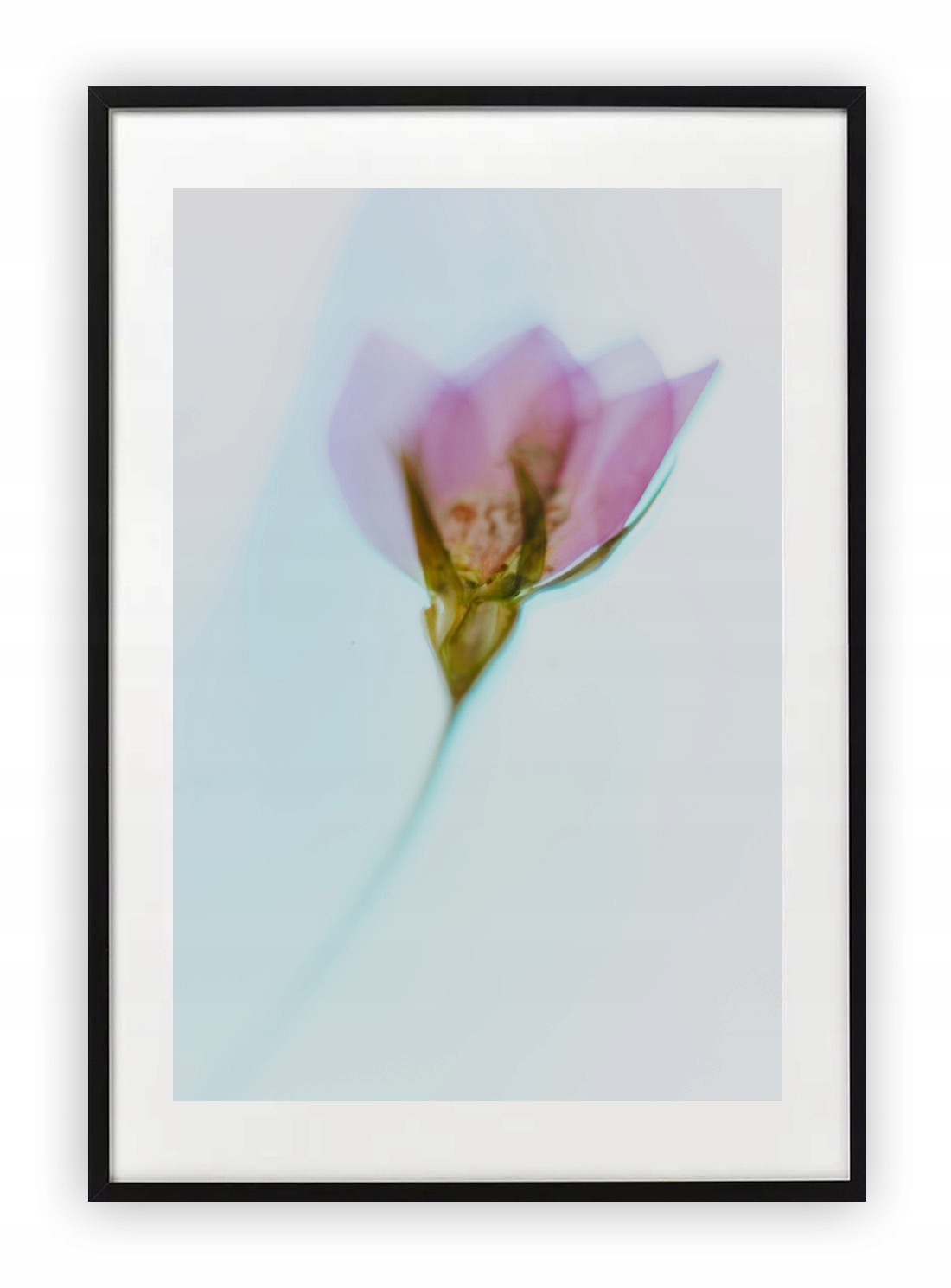 

Plakat 18x24 cm Zieleń Rośliny Kwiaty Natura Wzor