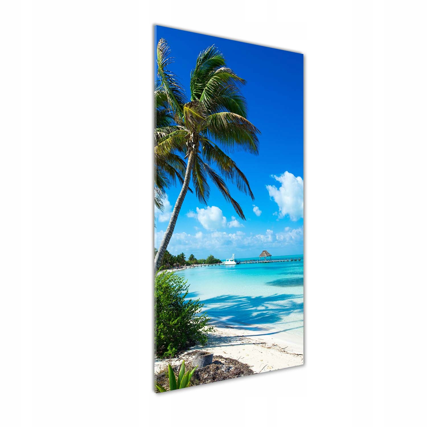 

Foto obraz szklany pionowy Tropikalna plaża 50x125