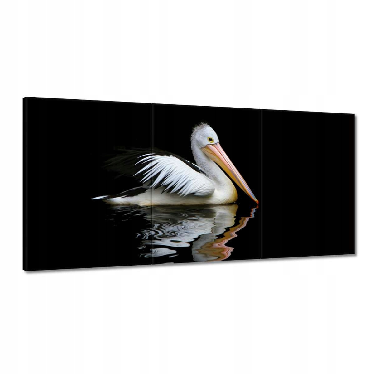 Obrazy 180x90 Kormoran