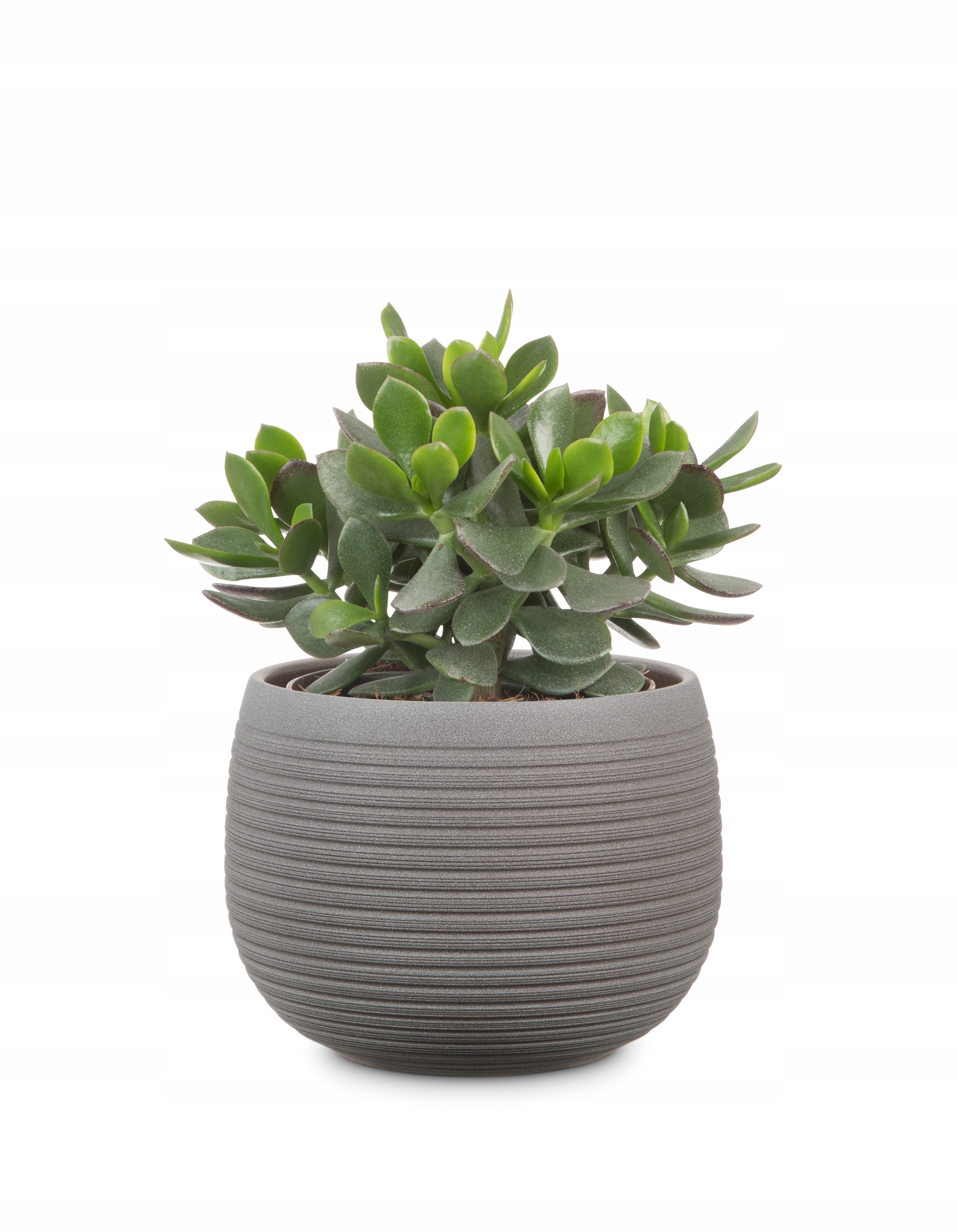 

Okrągła osłonka ceramiczna brązowa 18 Scheurich