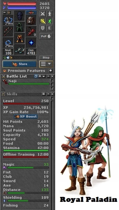 Tibia Postac - Niska cena na Allegro.pl