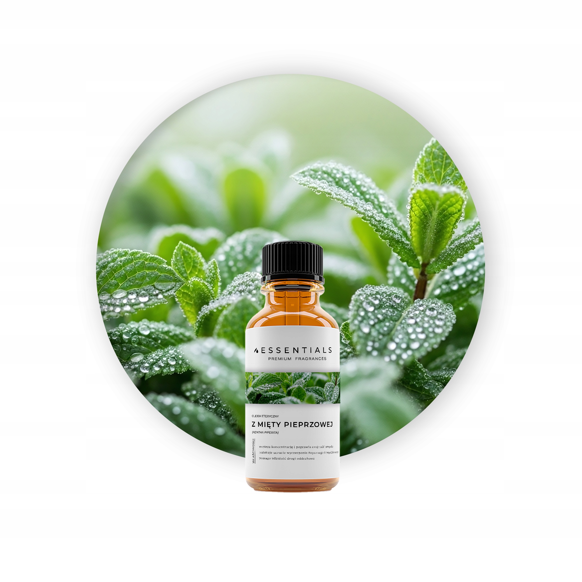 Olejek eteryczny z Mięty Pieprzowej (Mentha Piperita) 100 ml