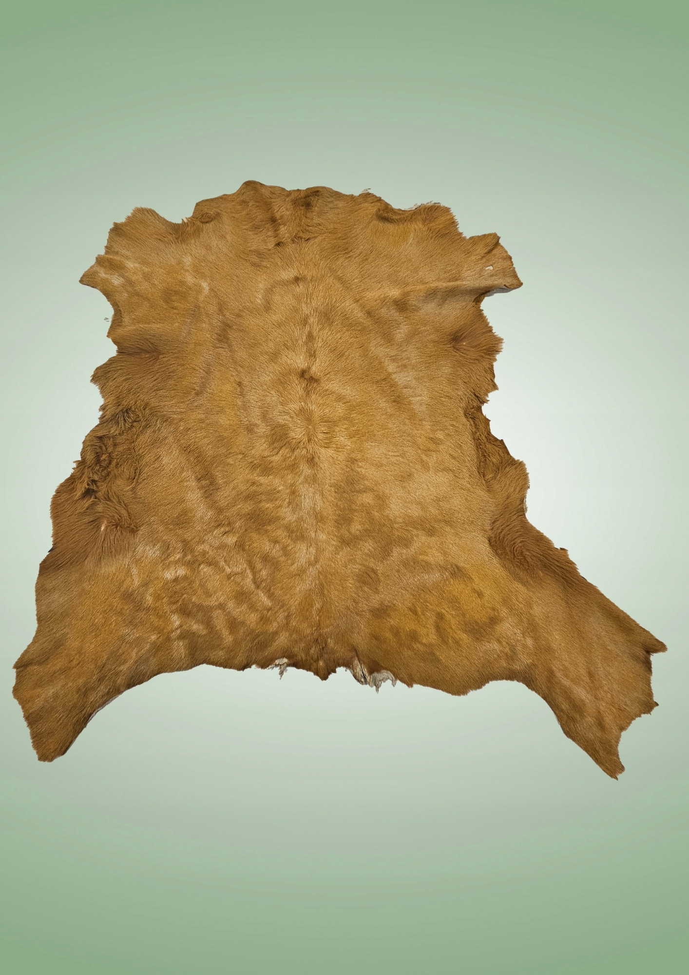 Přírodní kůže typu Ponny s dlouhým vlasem hořčicová barva