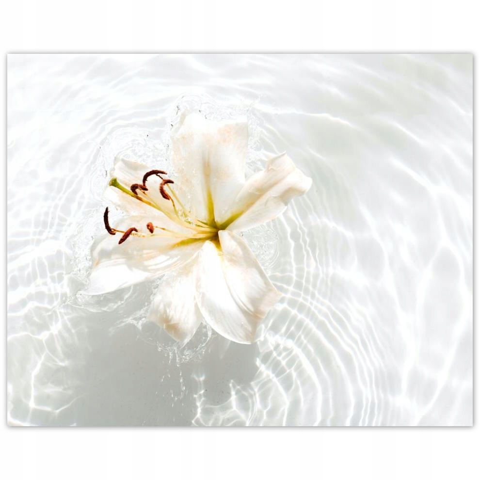 

Plakat 50x40 Kwiatek na wodzie Nazwa