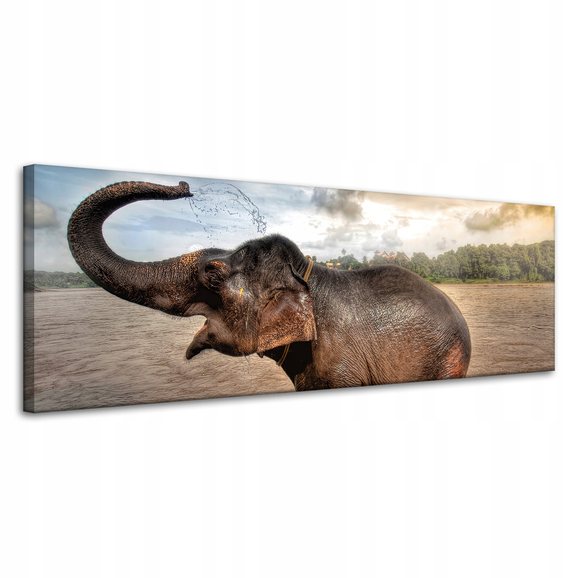 Obraz na plátně Slon Voda Mraky Příroda Koupel 120x40 cm