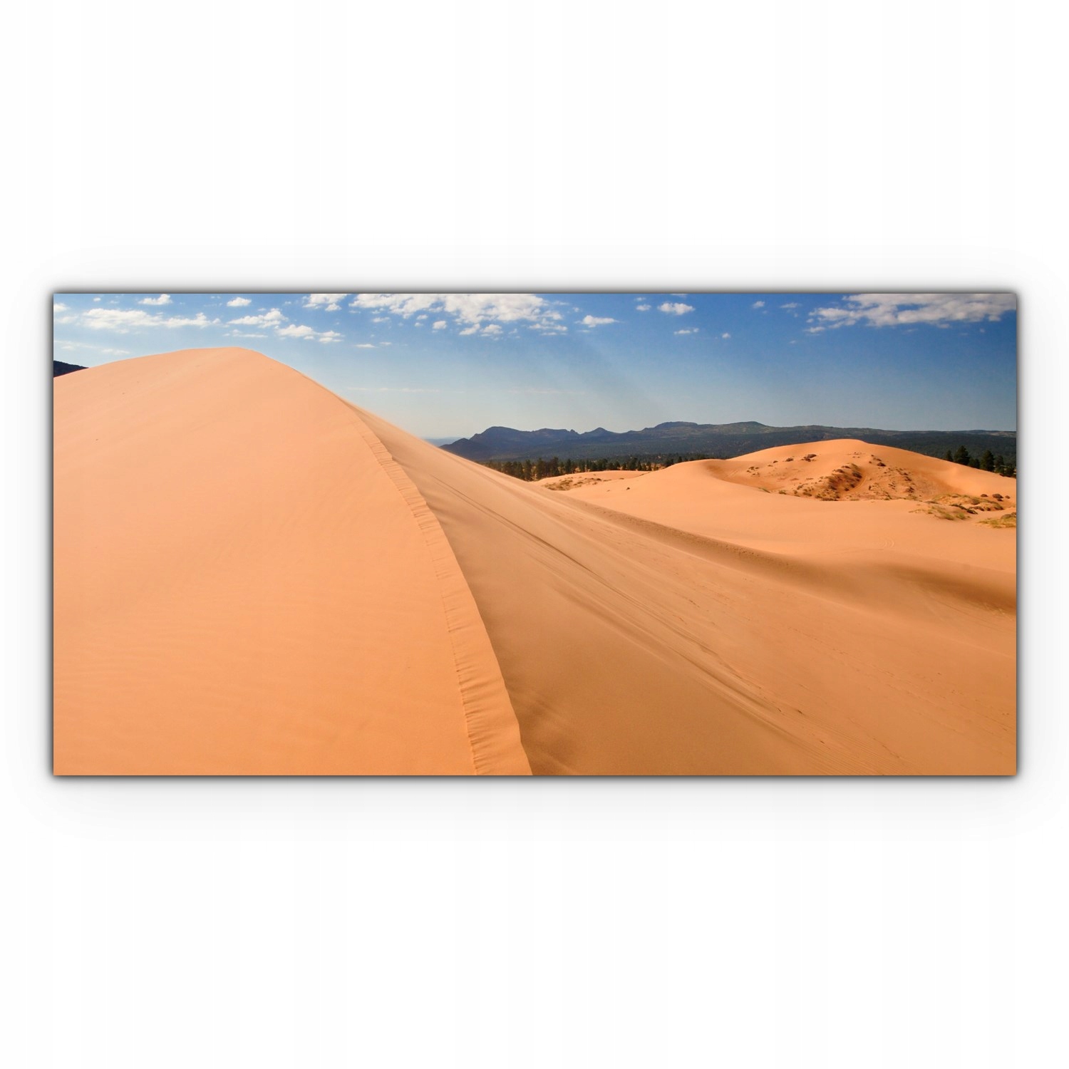 

Obraz Canvas dekoracja 100x50 Piasek Wydmy Ocean