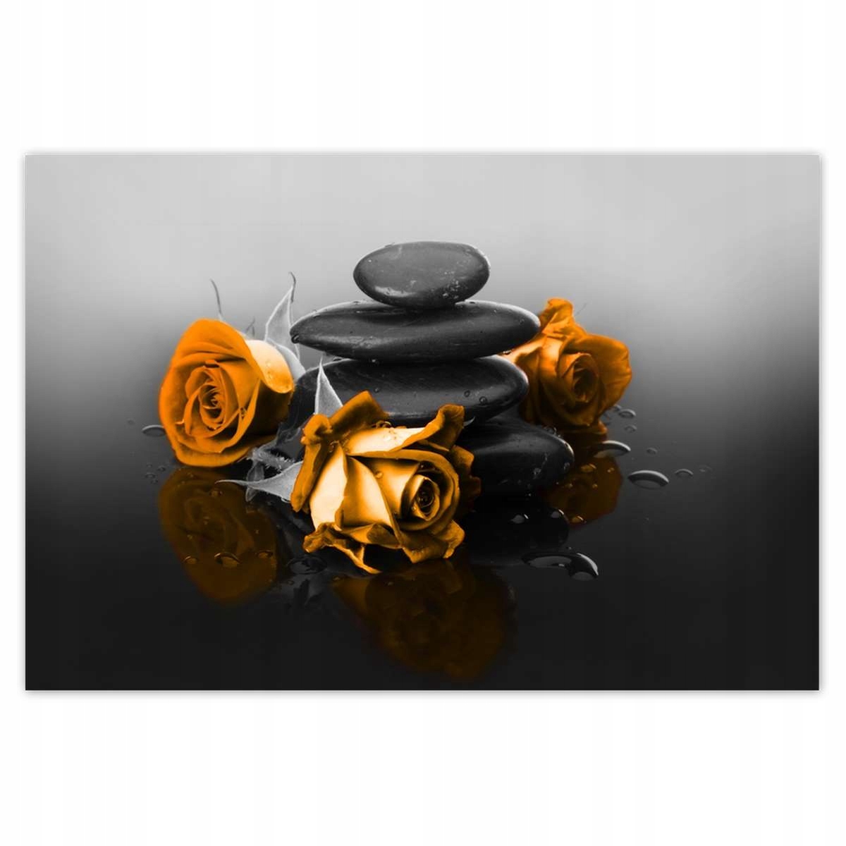 Plakáty 200x135 Oranžová růže Spa