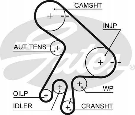 PASEK ROZRZADU TOYOTA AVENSIS 2.0/COROLL G 5562XS