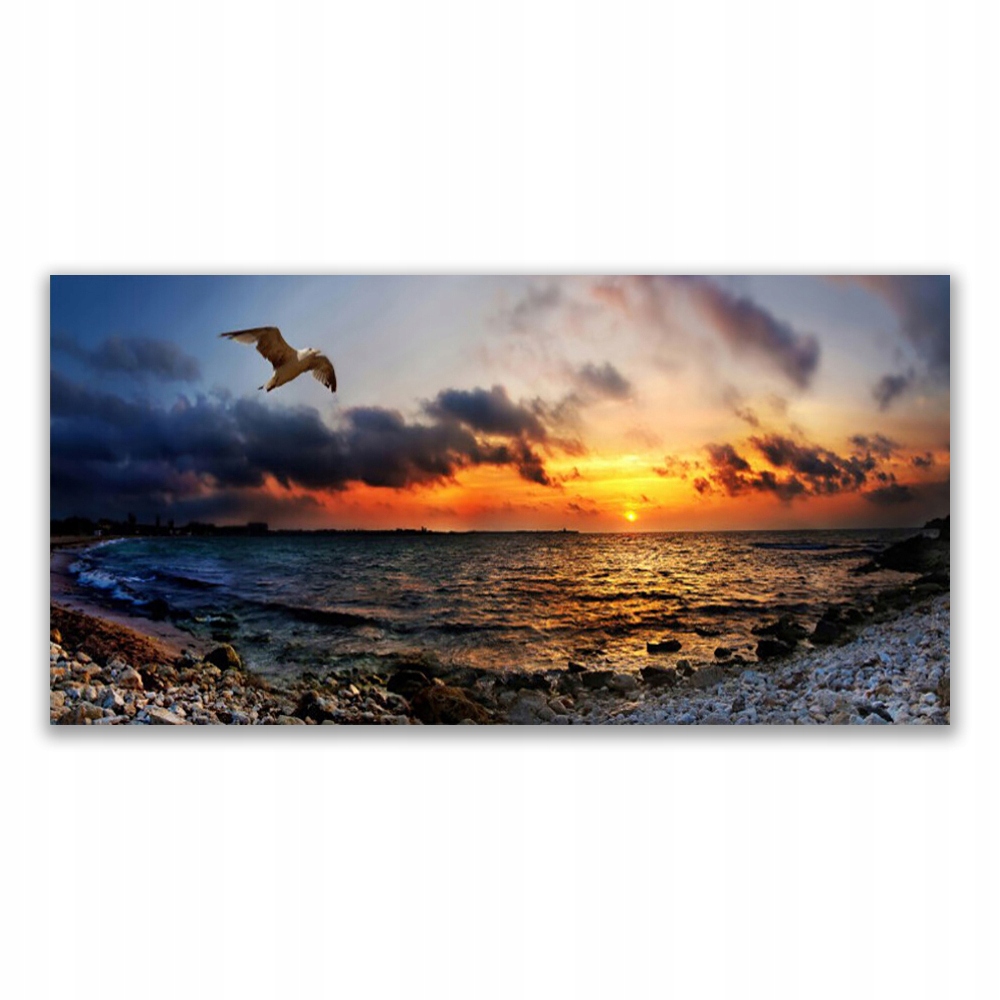 

Obraz akrylowy 140x70 Mewa Morze Plaża Krajobraz