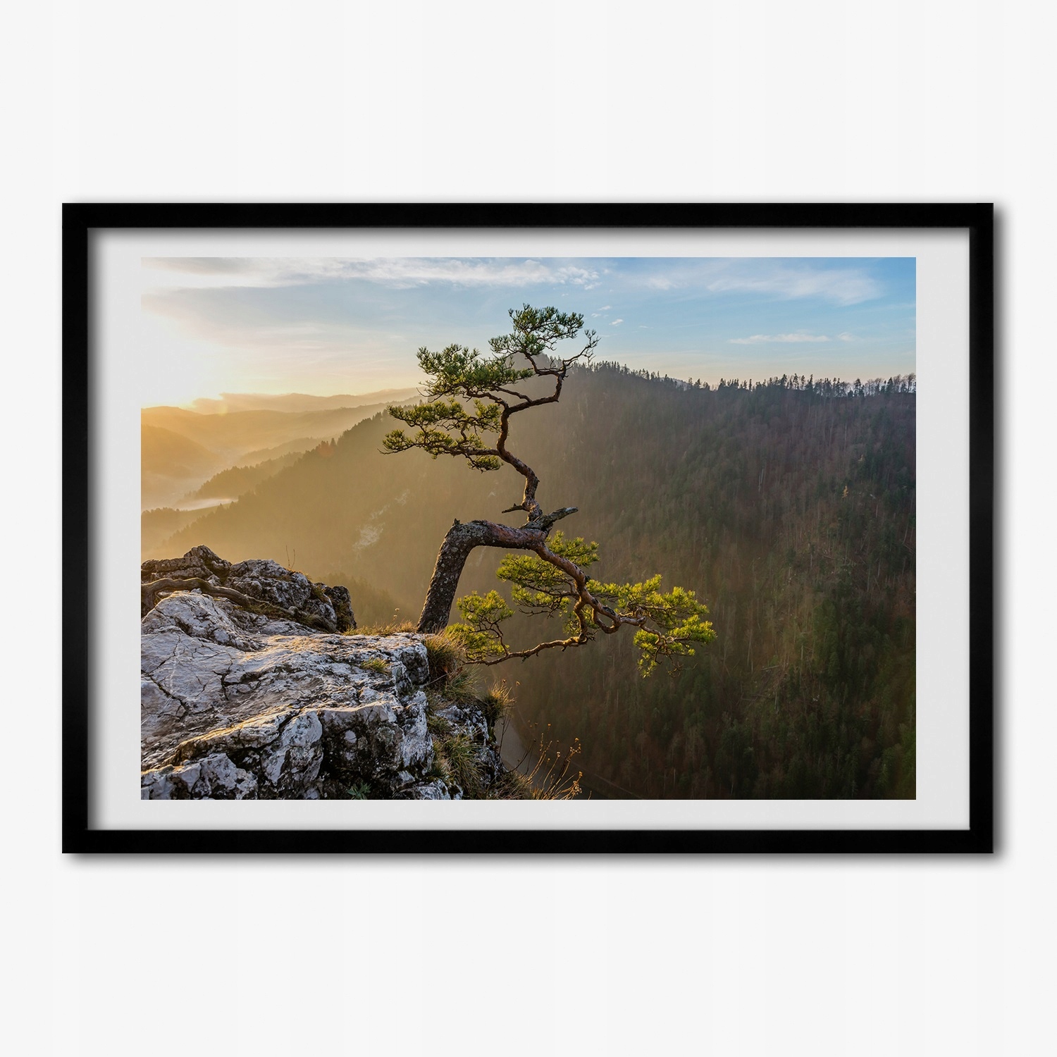 

Obraz z ramką do salonu Sokolica Pieniny 100x70 cm