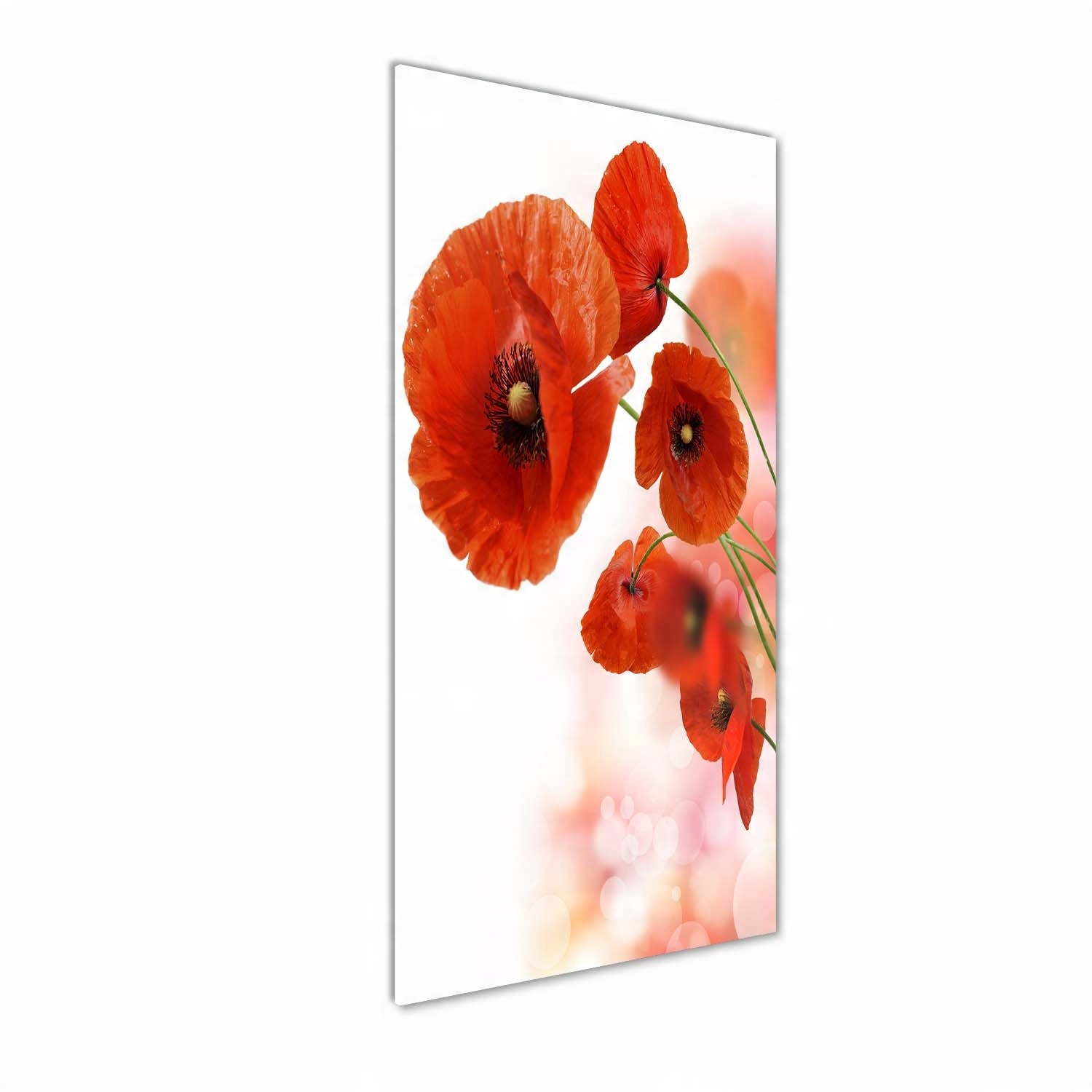 

Foto obraz akrylowy na ścianę Mak polny 50x125cm