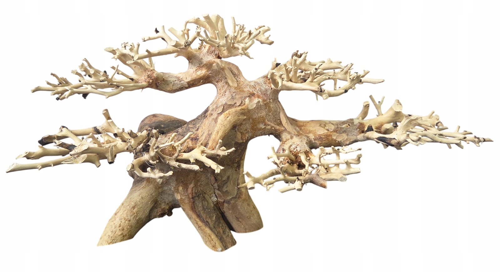Levně Stromek Bonsai Do Akvária dekorace driftwood Handmade 37x15x22 cm Size M