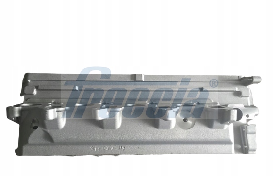 GŁOWICA SILNIKA CH17-1038 FRECCIA VW AMAROK Producent części Freccia