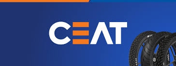 Ceat Endura Drive 215/65 R16C 107T