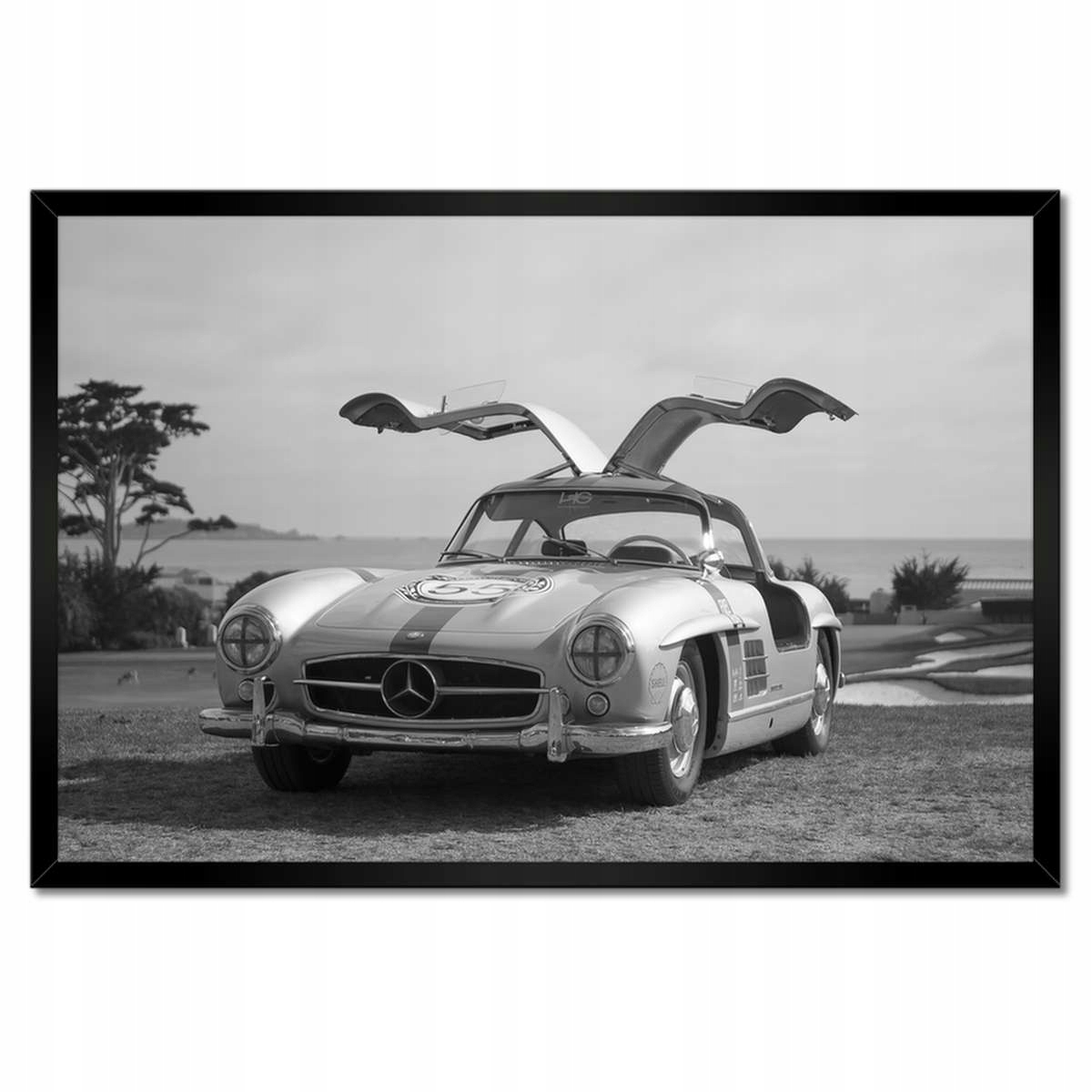 Plakáty v rámu 60x40 Mercedes Gullwing