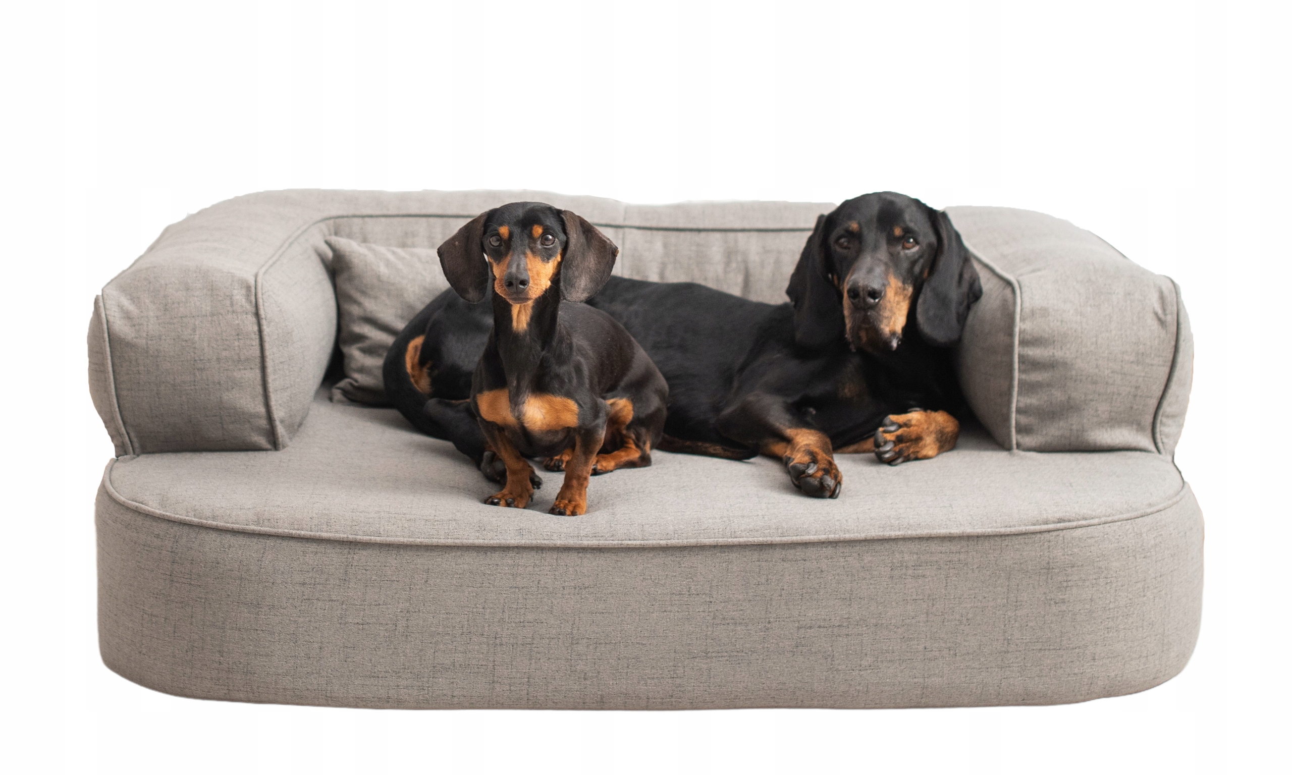 

Legowisko dla psa XXXL 150x100cm łóżko memory