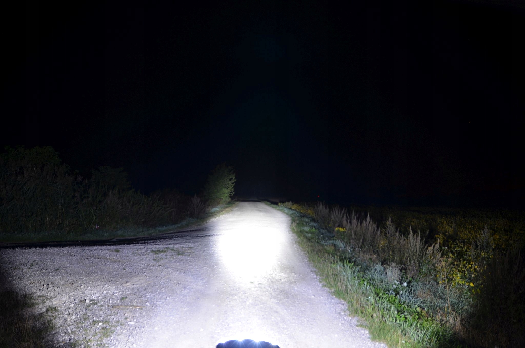 67c8d01d49b3baed6d089888b39d