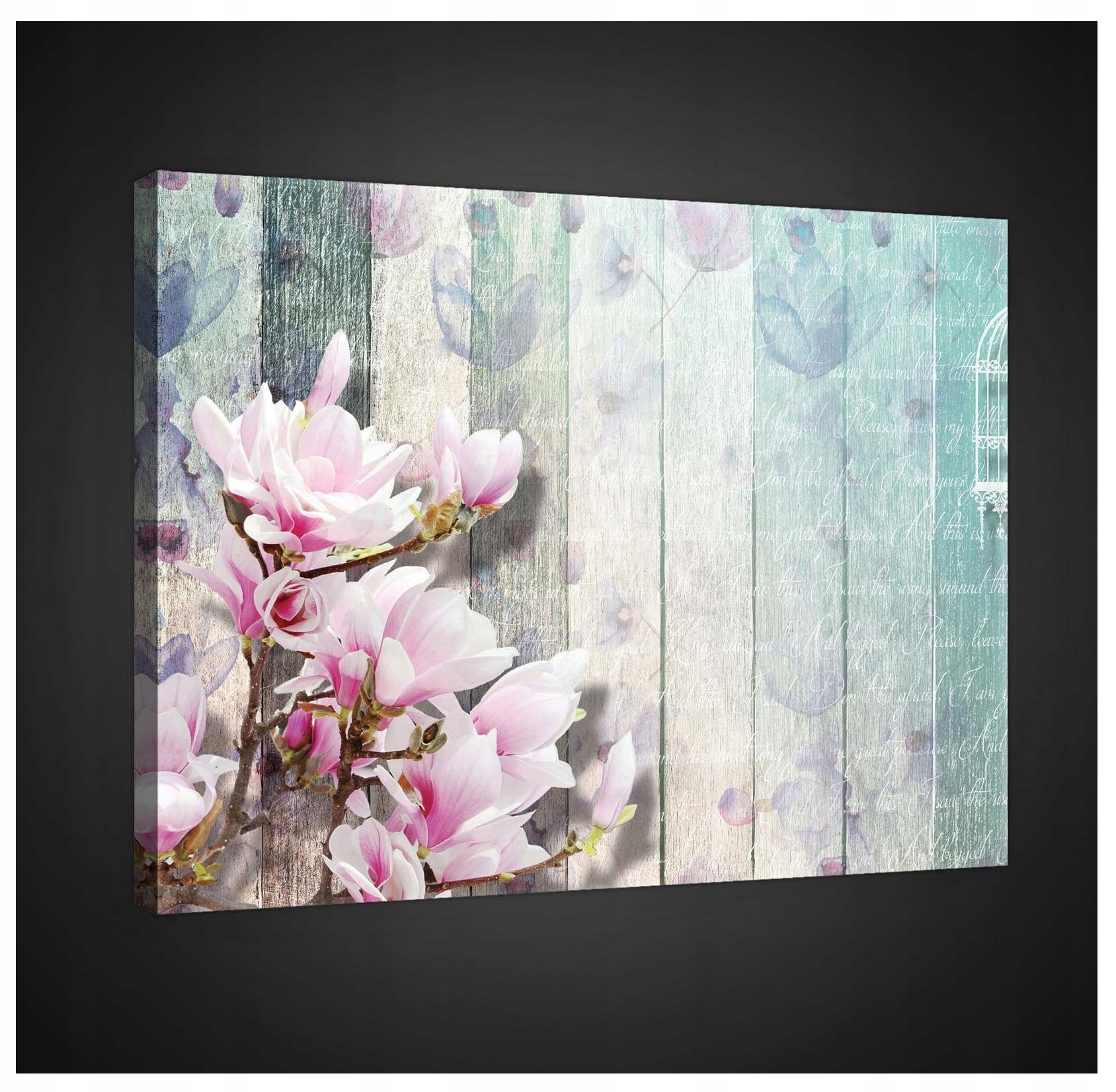 Obraz 100x75 Magnolie jaro růžové květy pastelové barvy romantismus