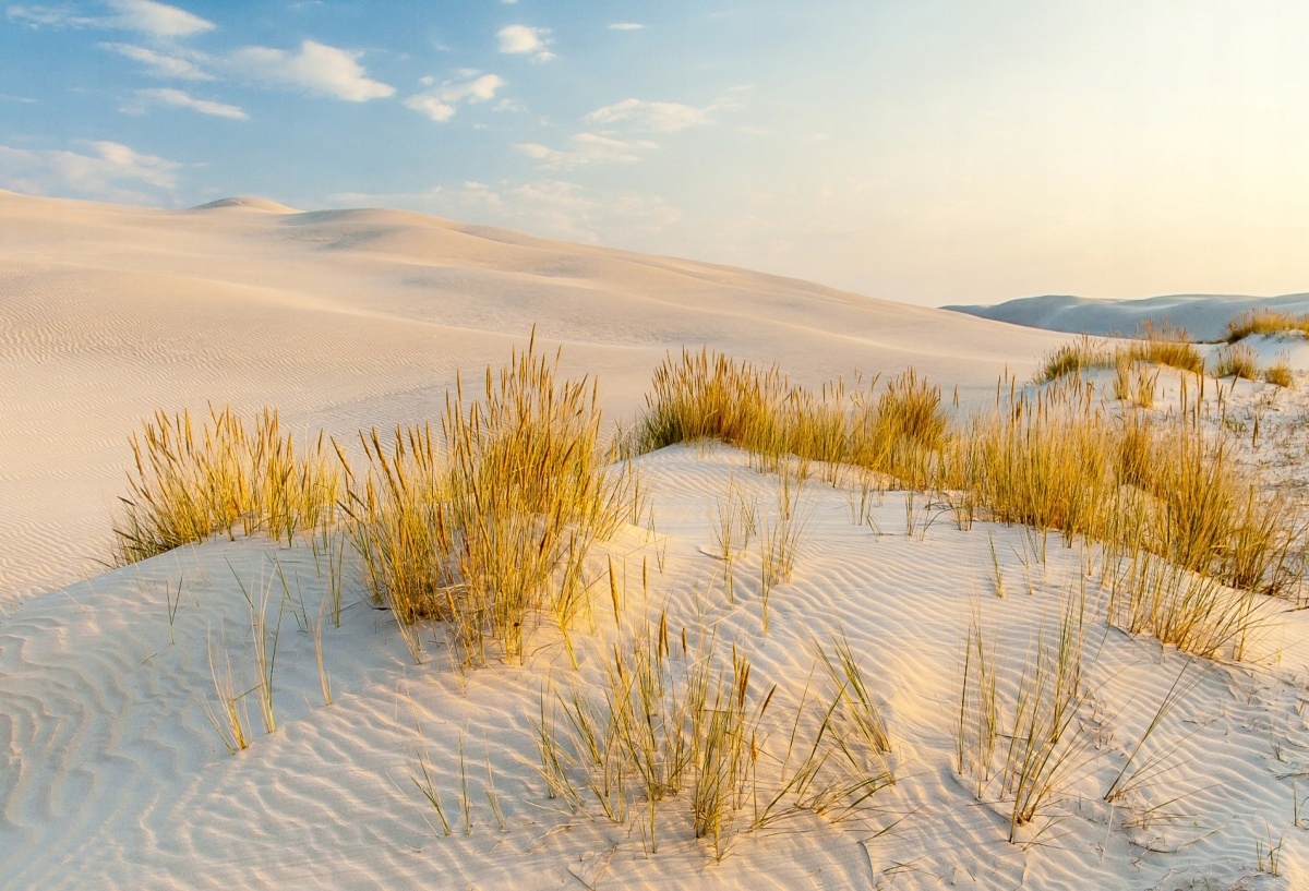 

Fototapeta Flizelinowa Baltyk Wydmy - 104x70