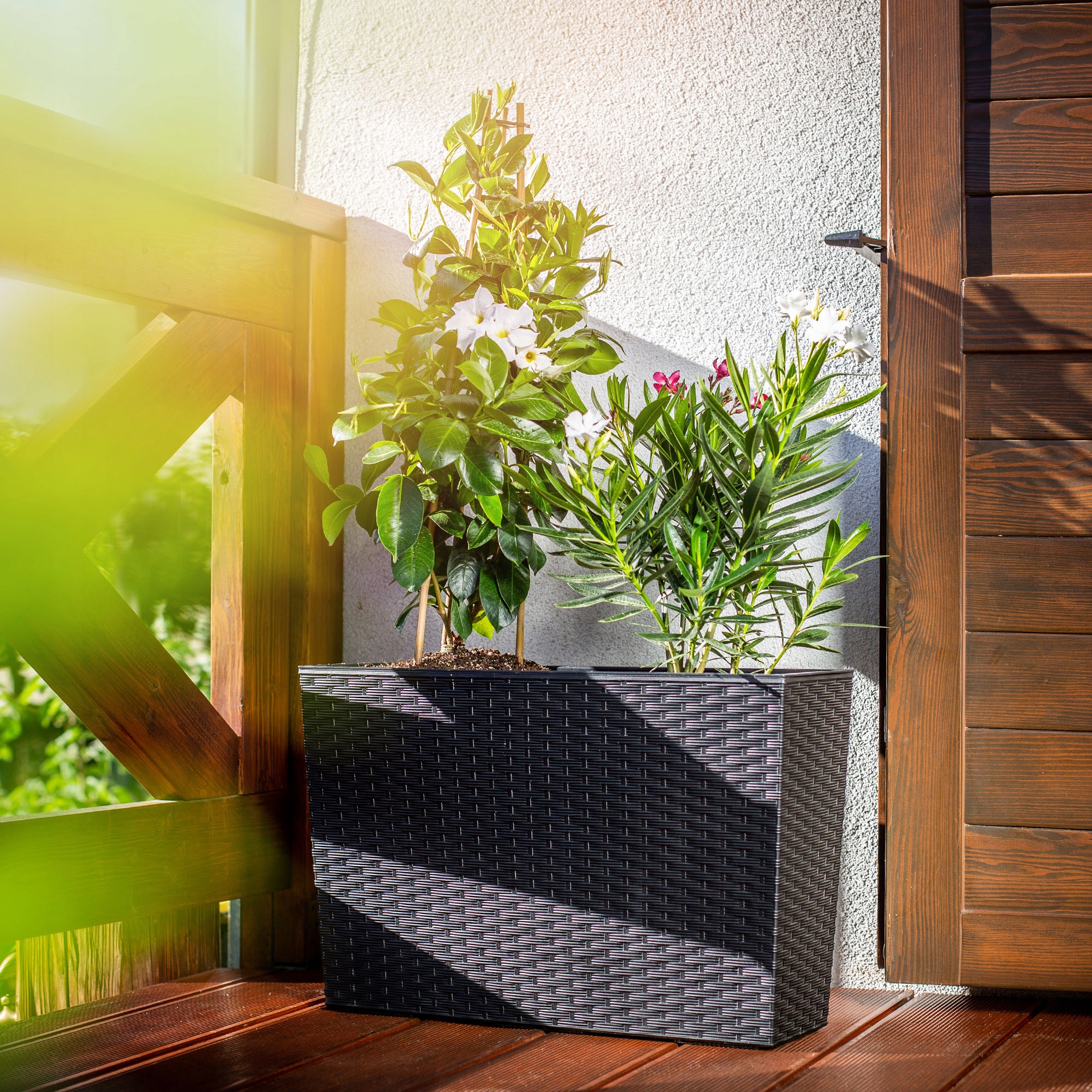 KWIETNIK DONICA + WKŁAD RATTAN CZARNA 19x56 cm Marka Kadax