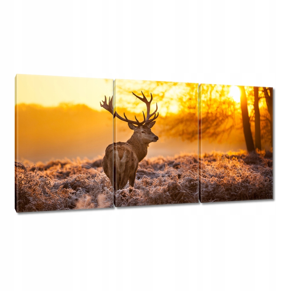 Obraz 180x90 Jeleň pri západe slnka