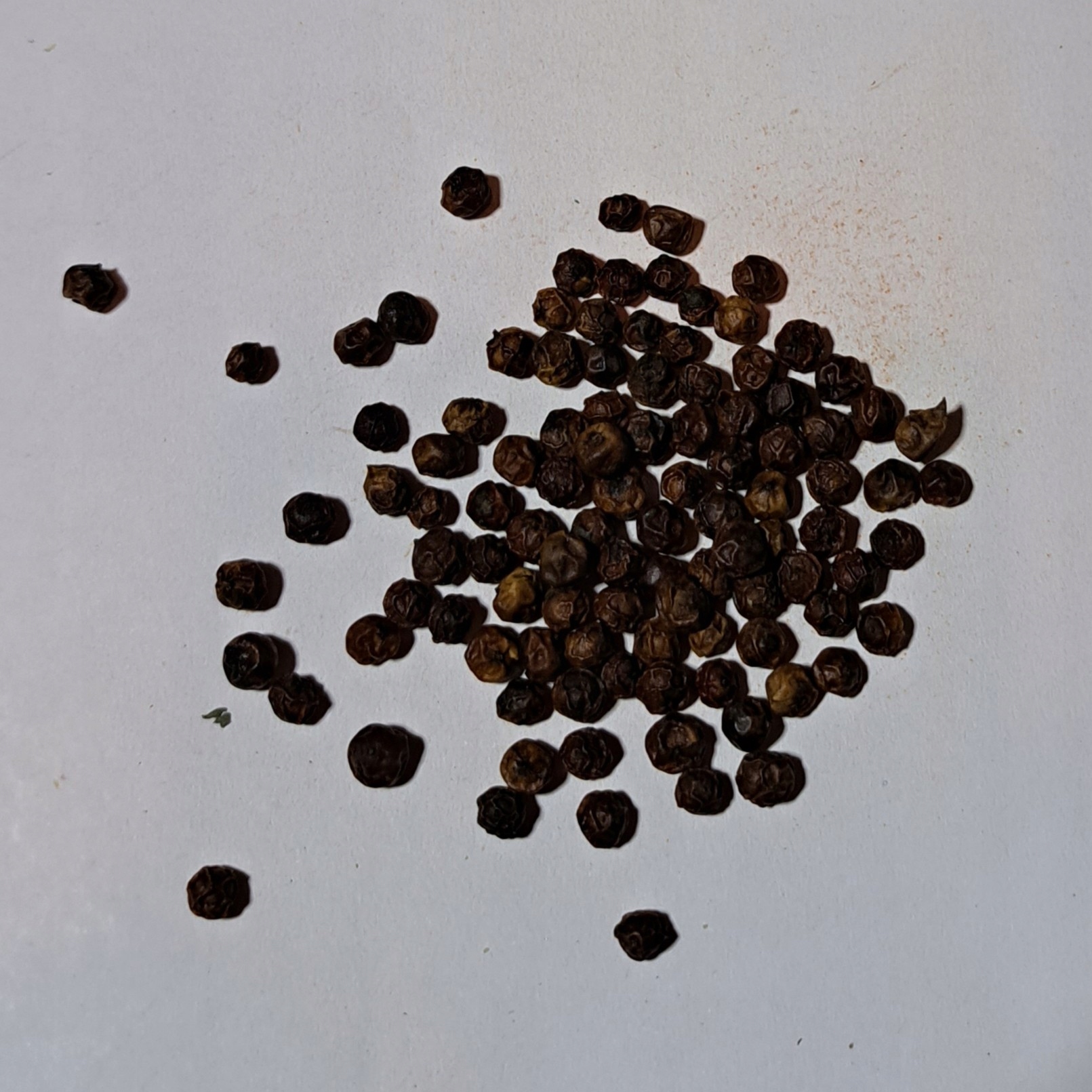 Levně pepř Kampot Červené zrno 1 kg Rafex