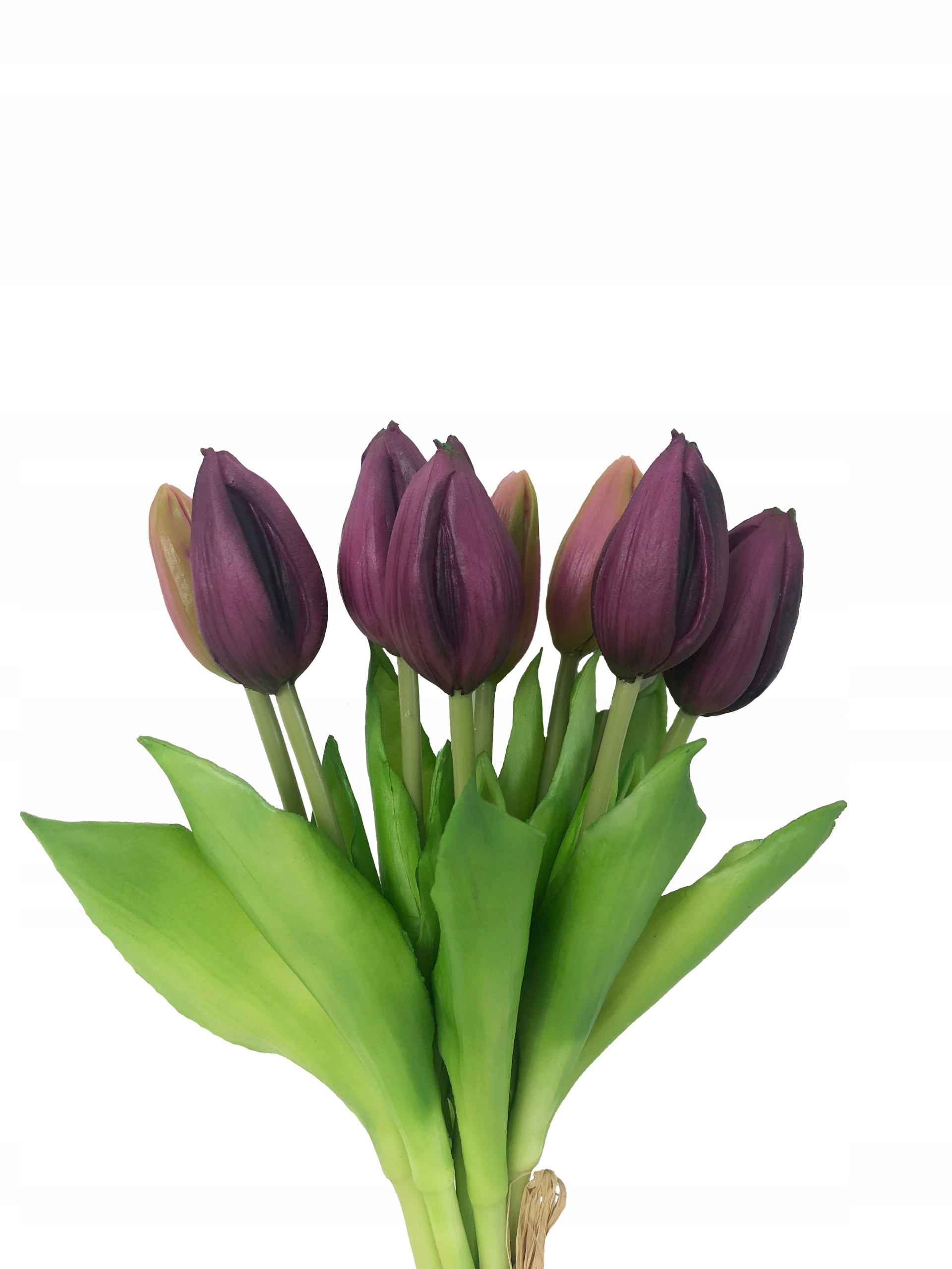 

Tulipany Tulipan Bukiet 9 Szt Gumowane Fioletowe